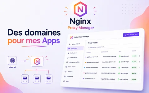 Des domaines pour mes Apps : Nginx Proxy Manager